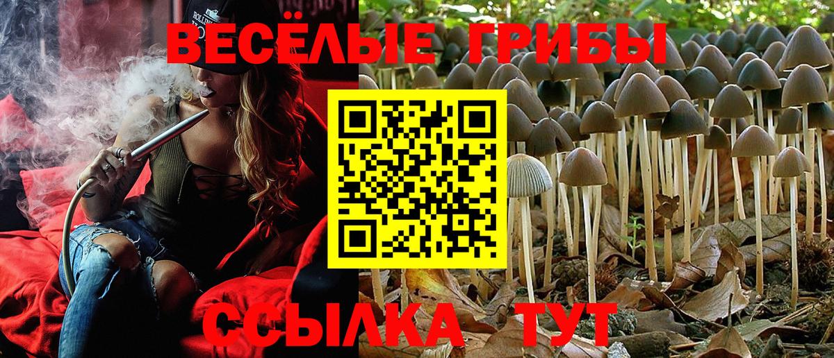 Псилоцибиновые грибы MAGIC MUSHROOMS  Вход с VPN  наркота  Черкесск 